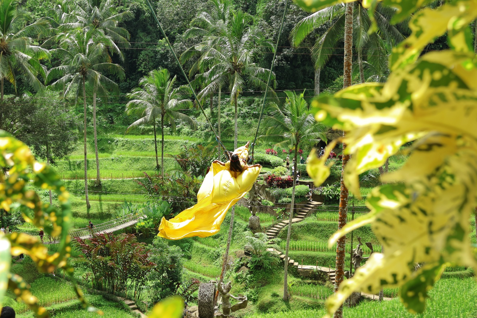 bali honeymoon tour package in india